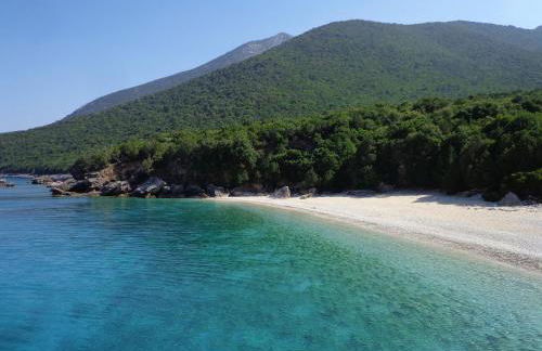 Palm Mansion - Foto 56