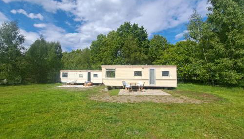 Ulinia Wilcza 4 beżowy - Foto 4