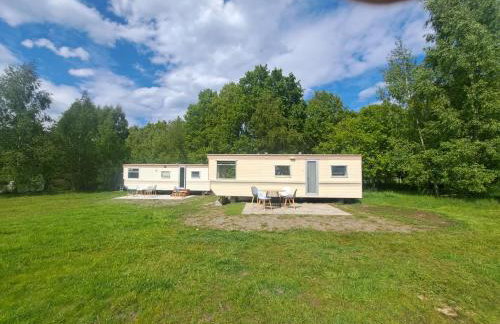 Ulinia Wilcza 4 niebieski - Photo 11