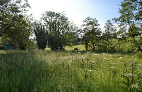 Large Luxury Shepherds Hut with Hot Tub nr Bath - Foto 7