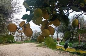 La nostra casetta - Foto 48