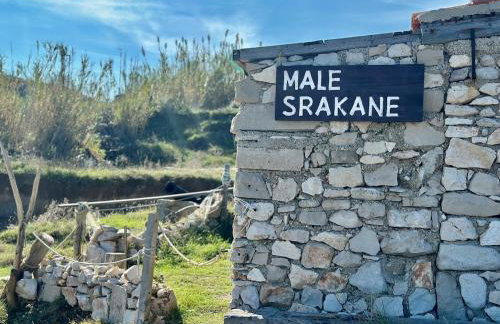 Robinson Crusoe Island Apartment - Foto 1