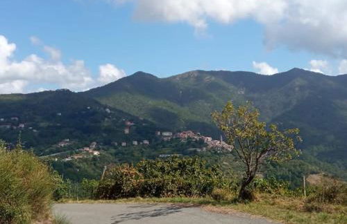 Domus Milli - Foto 13