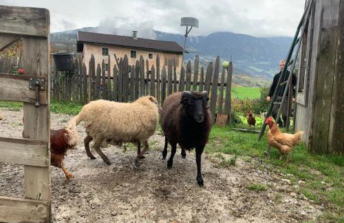 Weingut Griesserhof - Foto 22