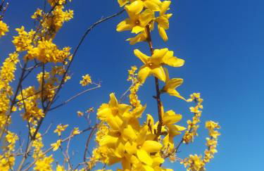 Casa das Argolas - Foto 72