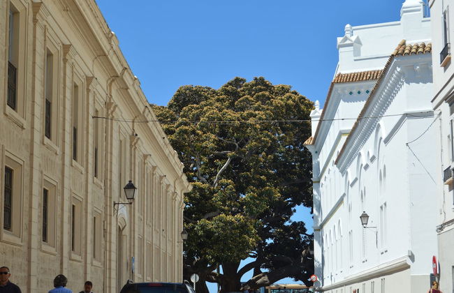 Apartamento Vieja Habana - Foto 14