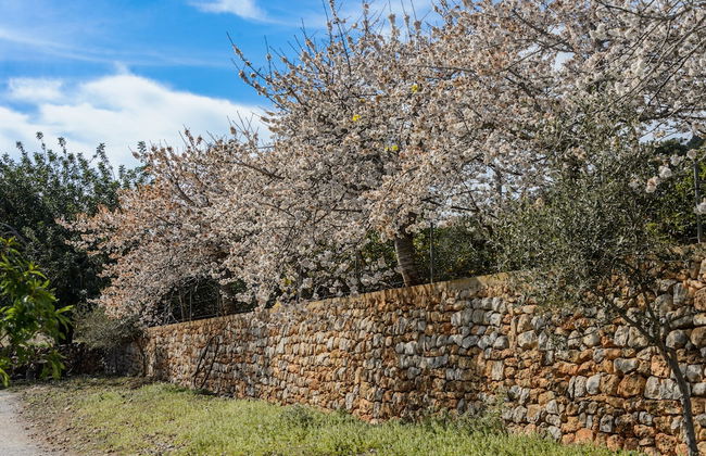 Agroturismo Can Prats - Foto 57