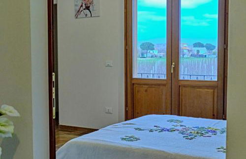 Chicco di grano - Photo 23