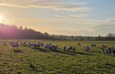 Wagtail Cottage - Foto 11