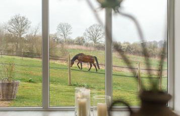 Apartment mit Garten - Foto 9