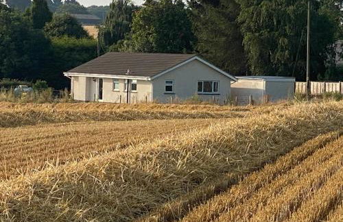 Cosy bungalow with views, walks, garden & parking. - Foto 1