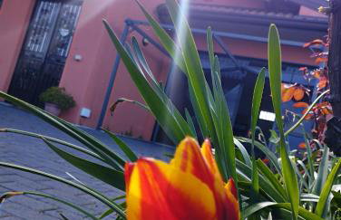Petite Maison dell'Etna - Photo 5