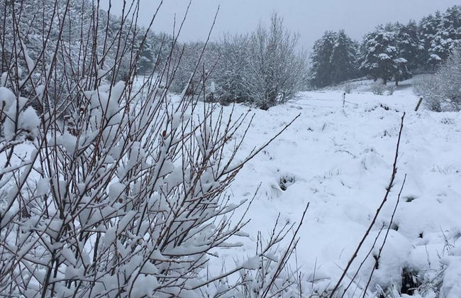 Artesano III - Photo 23