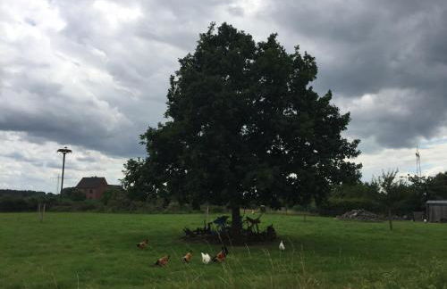 Ferienhaus Am Dombogen - BARRIEREFREI - 2 Schlafzimmer ab 3 Personen - mindestens 3 Nächte Aufenthalt - Foto 56