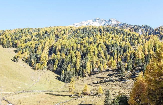 Mont Fort 16 - Foto 21