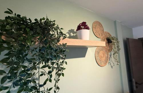 Full House, Jacuzzi, Netflix, 8 pers, free Parking 10' Colmar - Foto 39