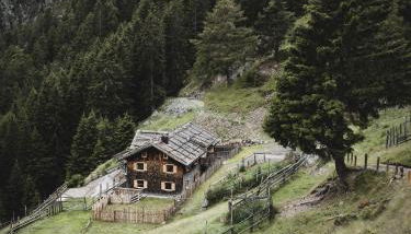 Hirschhof Pfrein - Hideaway - Foto 2