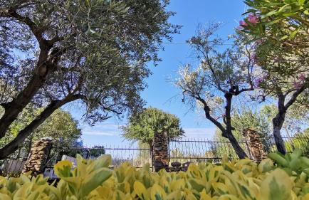 La Casa Di Rita in Muriscuv - Foto 28