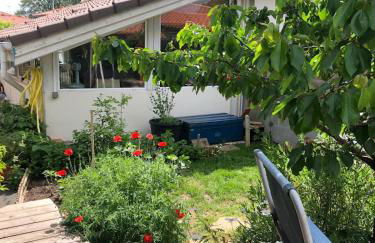 Studio bois avec terrasse et jardin bassin et océan - Foto 8