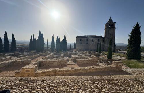 Alcalá zona Centro - Foto 40