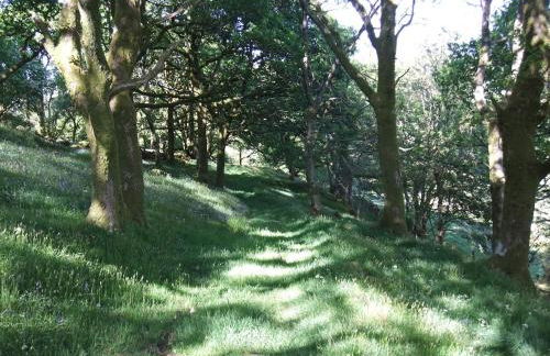 Detached cottage in the hills near Dolgellau - Foto 68