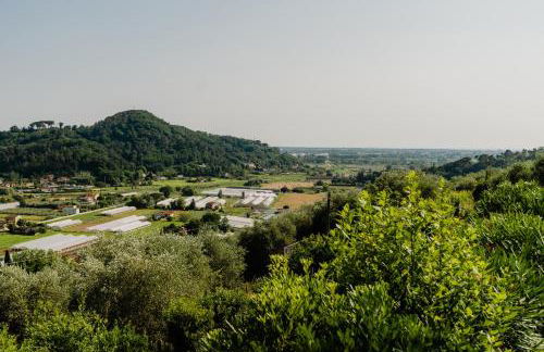 la tana del geco - Foto 31