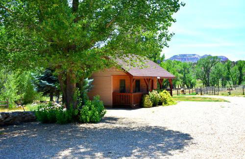 Arrowhead Country Cabins - Foto 59