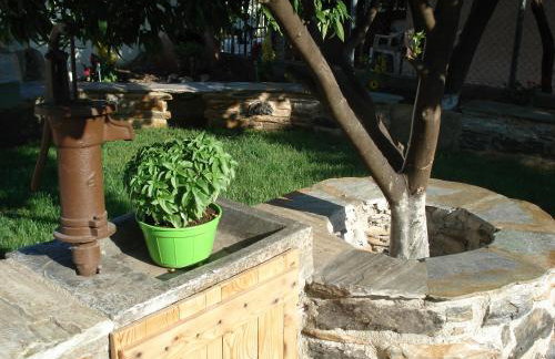 Orange Garden - Foto 34