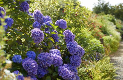 The Dairy Pembrokeshire - Foto 10