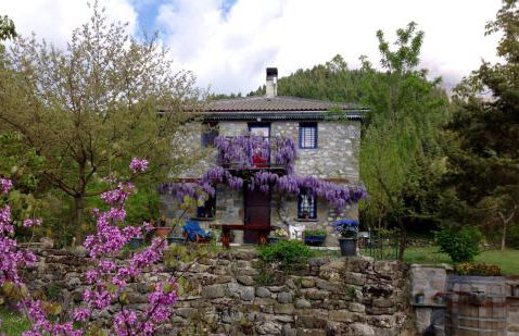 Marina's Stone Cottage - Foto 37