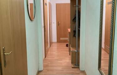 Apartment am Rhein ganze Wohnung NETFLIX Internet 1000 Mbits, free Parking - Foto 15