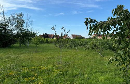 Entre Vignes et Verger - Foto 10