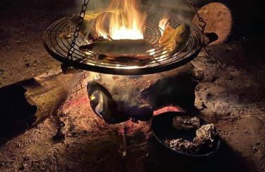 Farm woodland riverview cabin bbq firepit pet friendly - Foto 32