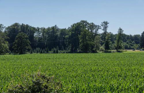 Ferienwohnung Schürer - Foto 28