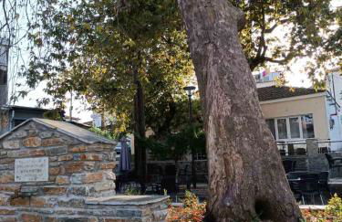 Mary's Traditional home - Photo 3