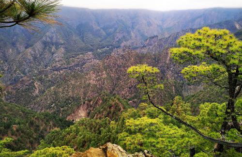 Casa Fagundo - Foto 23