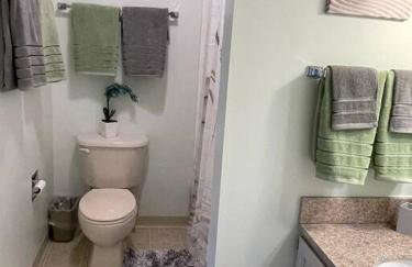 Gorgeous New Zen Suite Sleeps 4-Ski On Off Jiminy - Foto 16