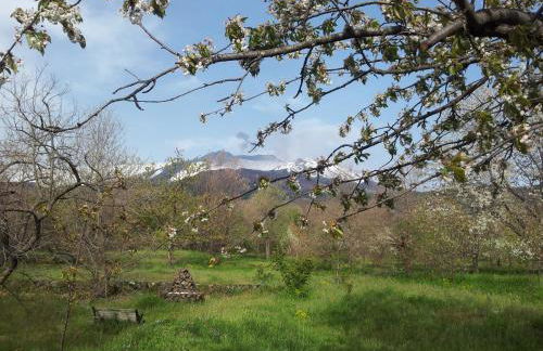 Cirasellaetna - Foto 92