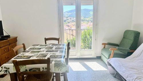 Charmant studio proche centre et plage, calme et pratique - FR-1-309-536 - Foto 4