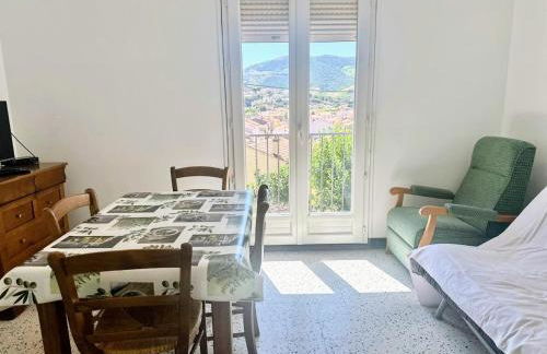 Charmant studio proche centre et plage, calme et pratique - FR-1-309-536 - Foto 4