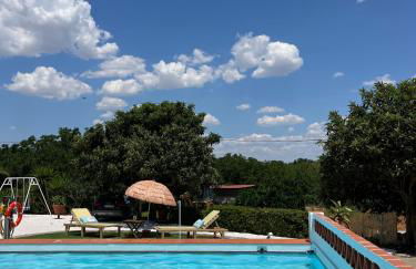 Horta do Monte - Foto 42