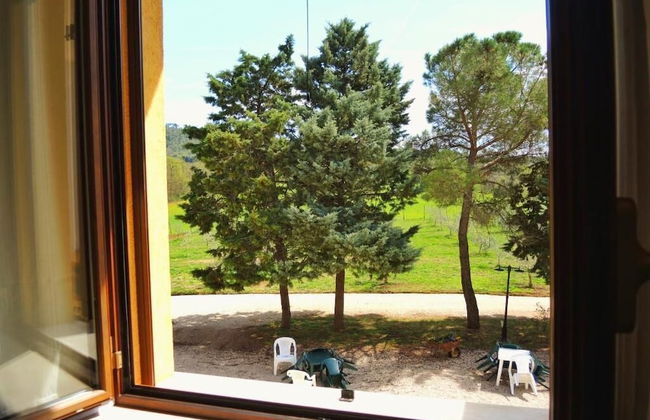 Poderaccio Alto - Foto 20