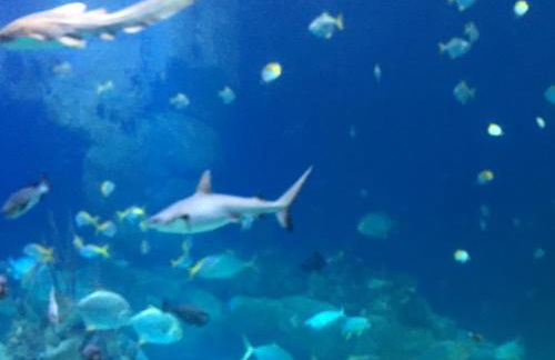 Meadow Sweet Cottage - Photo 58