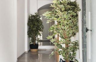 Victoria Site-Mercat Central - Foto 7