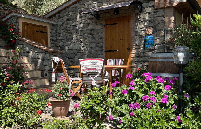 Home Relax - Foto 51