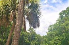 Little Ridge Ranch-East House Quiet Country Getaway-Pet Friendly! - Foto 38