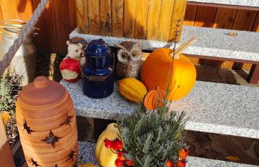 Sielanka, wyjątkowy dom, jacuzzi - Foto 48