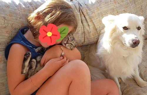 Casa tra i Trulli - Foto 29