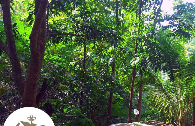 Malunggay Apartments - Foto 37