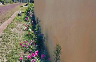 CHACARA CONDOMÍNIO ARACY - SANTA BARBARA - Pará - Photo 6